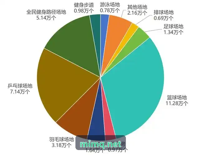 国家学生体质健康标准数字化升级解读
